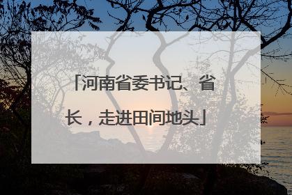 河南省委书记、省长，走进田间地头