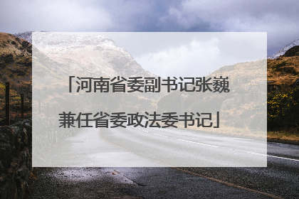 河南省委副书记张巍兼任省委政法委书记