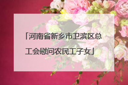 河南省新乡市卫滨区总工会慰问农民工子女