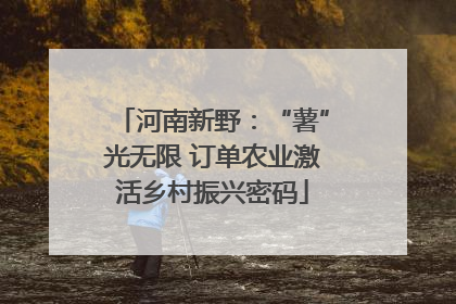 河南新野：“薯”光无限 订单农业激活乡村振兴密码