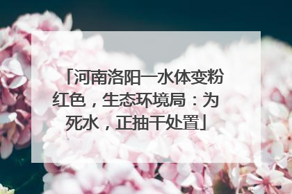 河南洛阳一水体变粉红色，生态环境局：为死水，正抽干处置