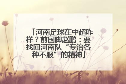 河南足球在中超咋样？前国脚赵鹏：要找回河南队“专治各种不服”的精神