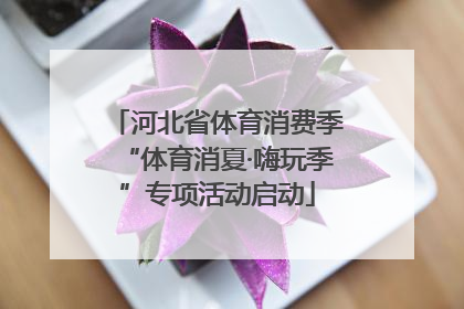 河北省体育消费季“体育消夏·嗨玩季”专项活动启动