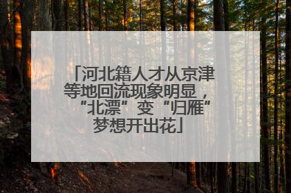 河北籍人才从京津等地回流现象明显，“北漂”变“归雁” 梦想开出花