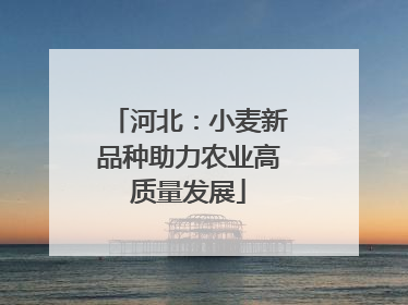 河北：小麦新品种助力农业高质量发展