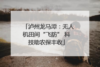 泸州龙马潭：无人机田间“飞防” 科技助农保丰收