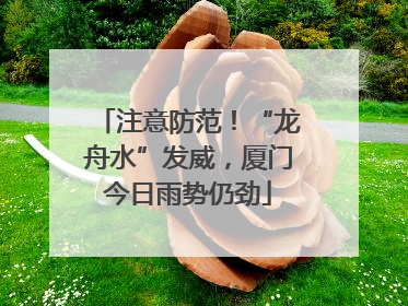 注意防范！“龙舟水”发威，厦门今日雨势仍劲