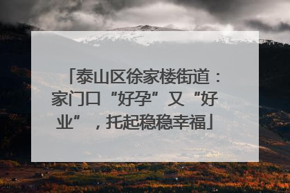 泰山区徐家楼街道：家门口“好孕”又“好业”，托起稳稳幸福