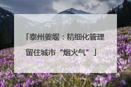 泰州姜堰：精细化管理留住城市“烟火气”