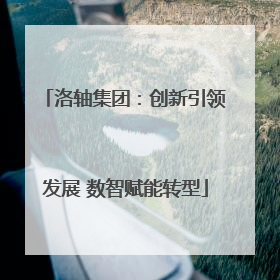 洛轴集团：创新引领发展 数智赋能转型