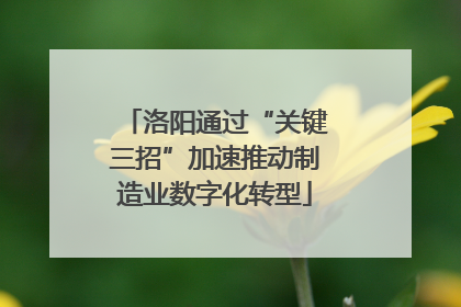 洛阳通过“关键三招”加速推动制造业数字化转型