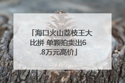 海口火山荔枝王大比拼 单颗拍卖出6.8万元高价