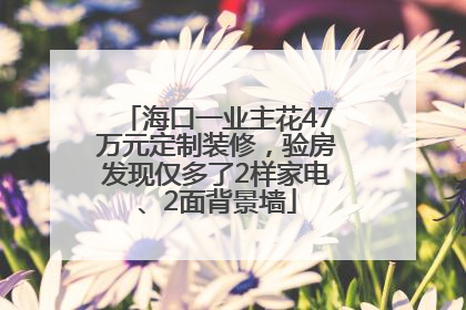 海口一业主花47万元定制装修，验房发现仅多了2样家电、2面背景墙