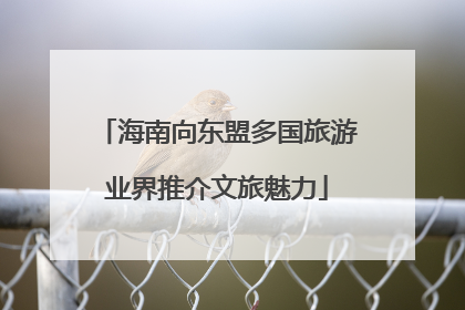 海南向东盟多国旅游业界推介文旅魅力