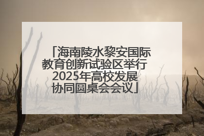 海南陵水黎安国际教育创新试验区举行2025年高校发展协同圆桌会会议