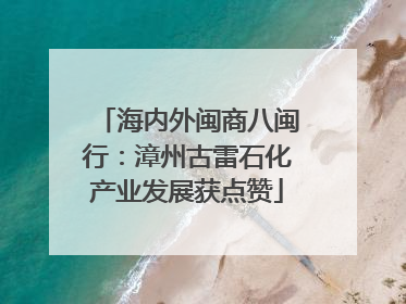 海内外闽商八闽行：漳州古雷石化产业发展获点赞