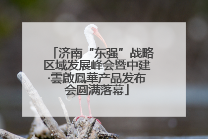 济南“东强”战略区域发展峰会暨中建·雲啟鳳華产品发布会圆满落幕