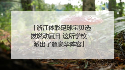 浙江体彩足球宝贝选拔燃动夏日 这所学校派出了超豪华阵容