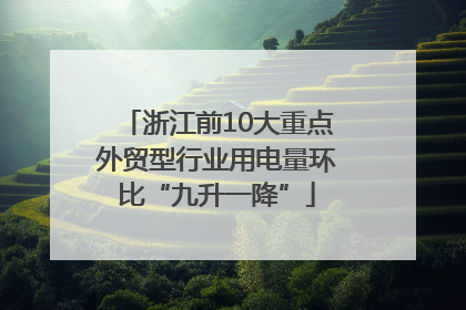 浙江前10大重点外贸型行业用电量环比“九升一降”
