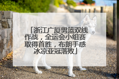 浙江广厦男篮双线作战，全运会小组赛取得首胜，布朗手感冰凉亚冠落败