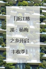 浙江慈溪：杨梅之乡开启丰收季