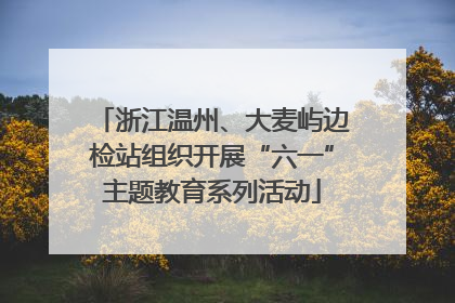 浙江温州、大麦屿边检站组织开展“六一”主题教育系列活动