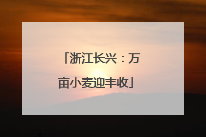 浙江长兴：万亩小麦迎丰收