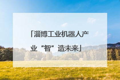 淄博工业机器人产业“智”造未来