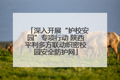 深入开展“护校安园”专项行动 陕西平利多方联动织密校园安全防护网
