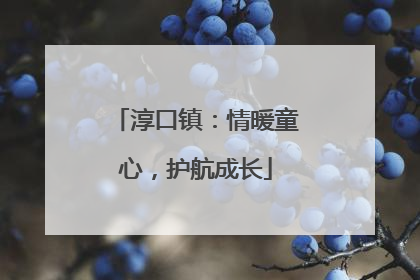 淳口镇：情暖童心，护航成长