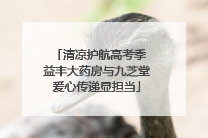 清凉护航高考季 益丰大药房与九芝堂爱心传递显担当