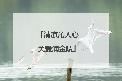 清凉沁人心 关爱润金陵