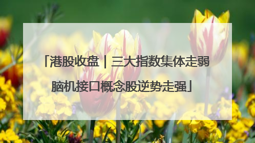 港股收盘｜三大指数集体走弱 脑机接口概念股逆势走强