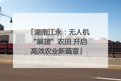 湖南江永：无人机“展翅”农田 开启高效农业新篇章