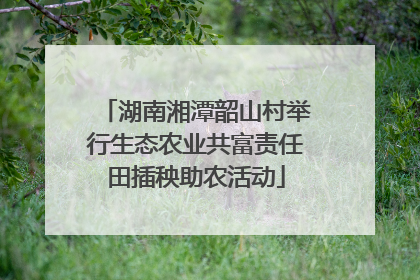 湖南湘潭韶山村举行生态农业共富责任田插秧助农活动