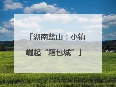 湖南蓝山：小镇崛起“箱包城”