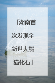 湖南首次发现全新世大熊猫化石