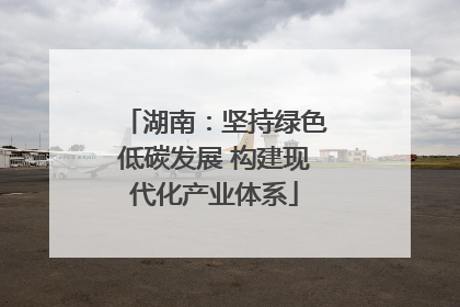 湖南：坚持绿色低碳发展 构建现代化产业体系
