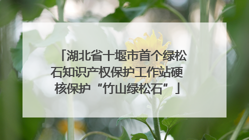 湖北省十堰市首个绿松石知识产权保护工作站硬核保护“竹山绿松石”