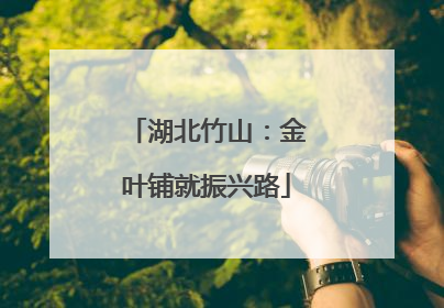 湖北竹山：金叶铺就振兴路