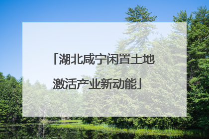 湖北咸宁闲置土地激活产业新动能