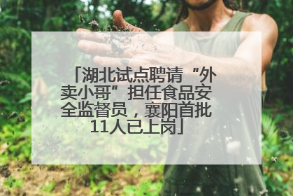 湖北试点聘请“外卖小哥”担任食品安全监督员，襄阳首批11人已上岗