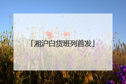 湘沪白货班列首发