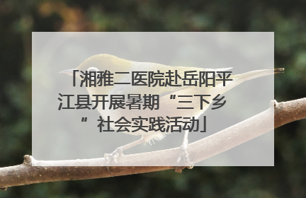湘雅二医院赴岳阳平江县开展暑期“三下乡”社会实践活动