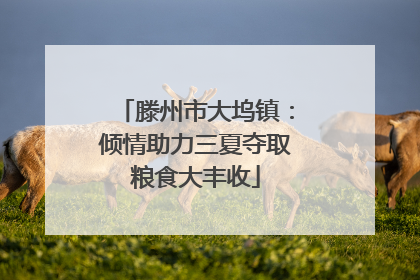 滕州市大坞镇：倾情助力三夏夺取粮食大丰收