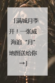 满城月季开！一张威海追“月”地图送给你→