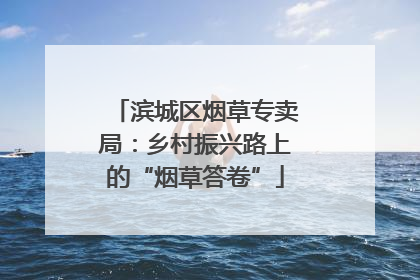 滨城区烟草专卖局：乡村振兴路上的“烟草答卷”