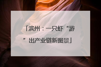 滨州：一只虾“游”出产业链新图景
