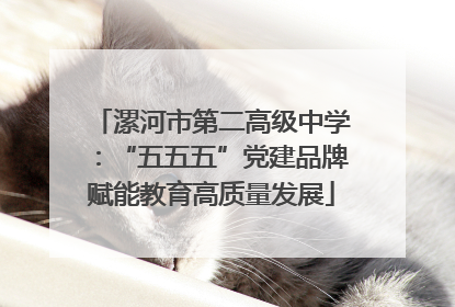 漯河市第二高级中学：“五五五”党建品牌赋能教育高质量发展