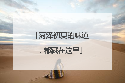 菏泽初夏的味道，都藏在这里